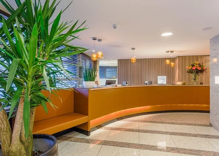 酒店 纳尔逊酒店 克诺克－海斯特