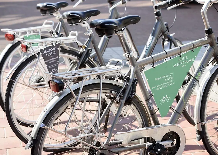 纳尔逊酒店 酒店 4*